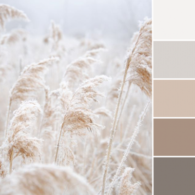 Color Love | Soft Neutrals