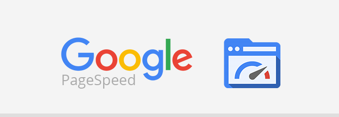 Google PageSpeed Graphic