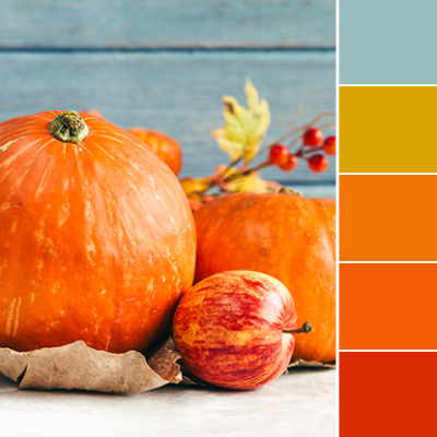 Color Love | Pumpkin Orange