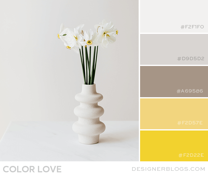 Yellow & Gray Color Palette